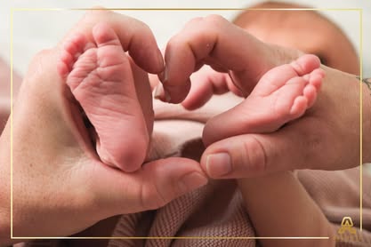 556606700_122185415918366696_600723641410085191_n